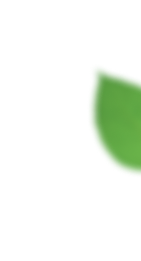 leaflet20